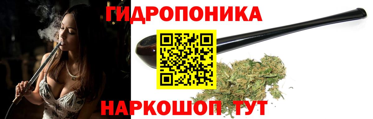 Шишки марихуана OG Kush  Канабис планчик  Вход с VPN  Россошь  Бошки Шишки OG Kush  Канабис семена 